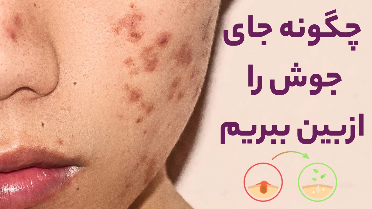 خرید محصولات تراست با بهترین قیمت